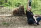 FOTO Actriță din filmul "Harry Potter", în vizită la sanctuarul de urși Libearty Zărnești
