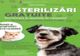 Campanie de sterilizare gratuită a câinilor și pisicilor din Făgăraș