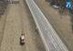 VIDEO Garduri virtuale împotriva animalelor, pe DN1