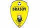 Curtea de Conturi a găsit nereguli la FC Brașov