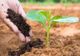 MADR: Noi norme pentru produse fertilizante comercializate în România