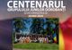 Centenarul Junilor Dorobanți, pe 20 mai. Programul complet al evenimentelor