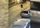 VIDEO Panică în Brașov: un URS a fost filmat pe străzile orașului. O femeie, surprinsă de animal