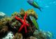 8 iunie, Ziua Mondială a Oceanelor