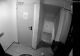 Un urs a intrat într-un hotel din Poiana Brașov